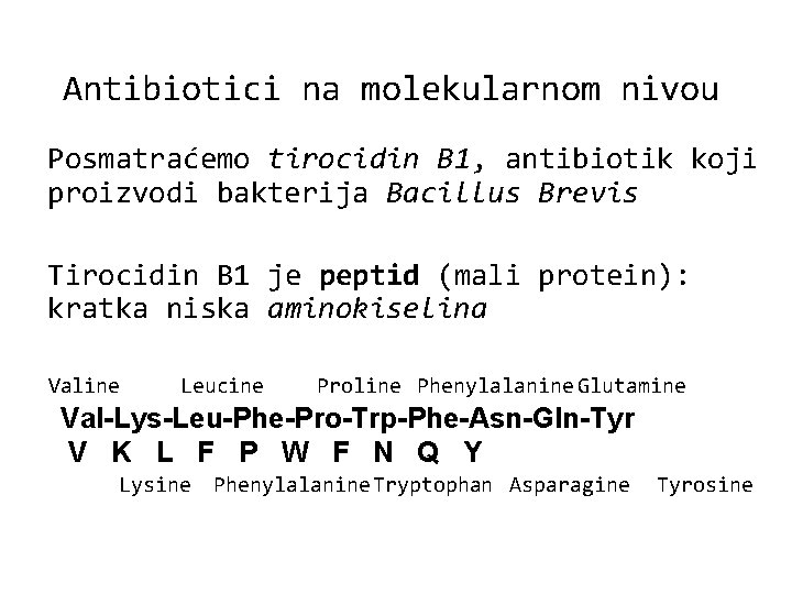 Antibiotici na molekularnom nivou Posmatraćemo tirocidin B 1, antibiotik koji proizvodi bakterija Bacillus Brevis