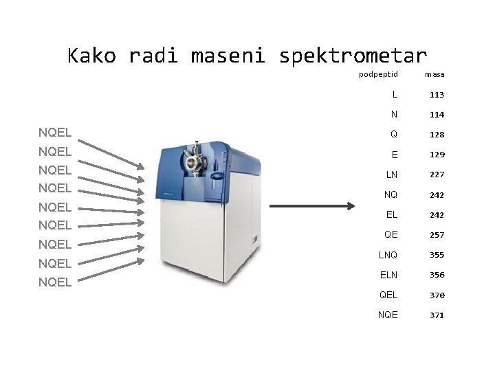 Kako radi maseni spektrometar podpeptid masa L 113 N 114 NQEL Q 128 NQEL