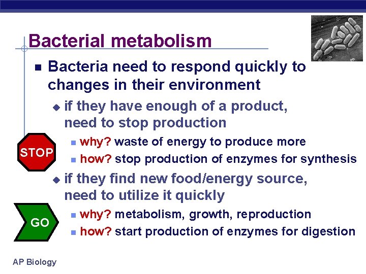 Bacterial metabolism Bacteria need to respond quickly to changes in their environment u STOP