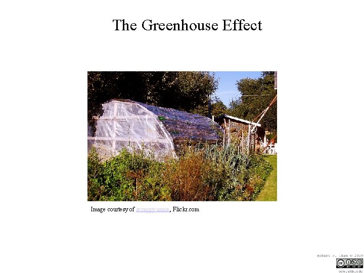 The Greenhouse Effect Image courtesy of scrappy annie, Flickr. com 