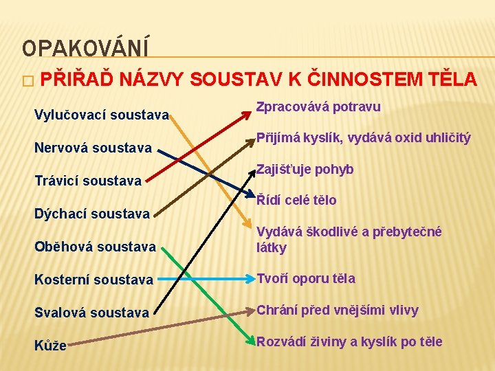 OPAKOVÁNÍ � PŘIŘAĎ NÁZVY SOUSTAV K ČINNOSTEM TĚLA Vylučovací soustava Nervová soustava Trávicí soustava