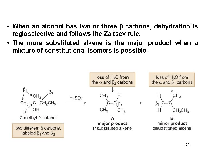  • When an alcohol has two or three carbons, dehydration is regioselective and
