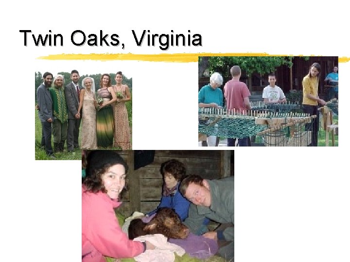 Twin Oaks, Virginia 