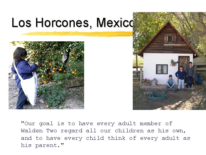 Los Horcones, Mexico "Our goal is to have every adult member of Walden Two