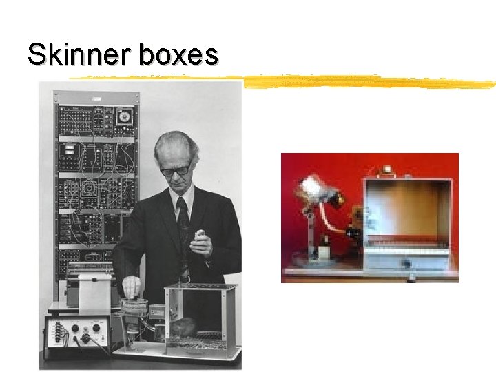 Skinner boxes 