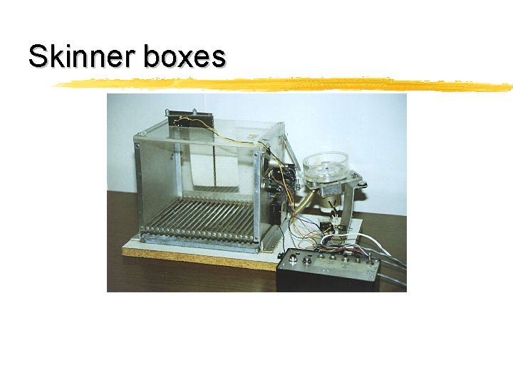 Skinner boxes 