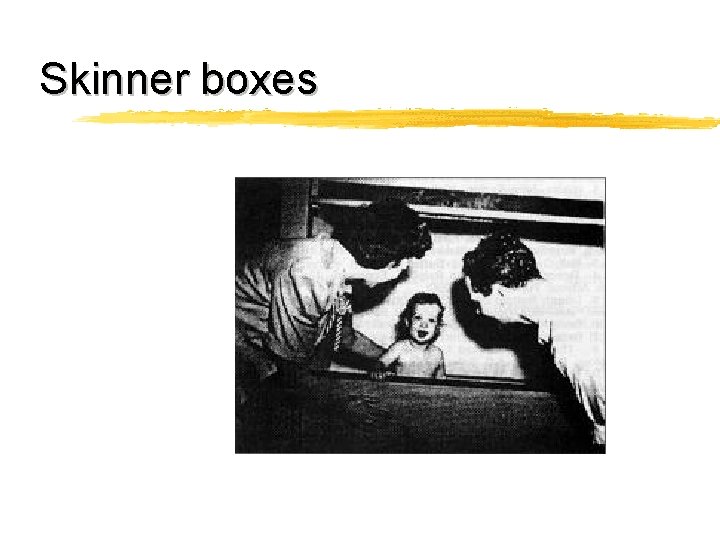 Skinner boxes 