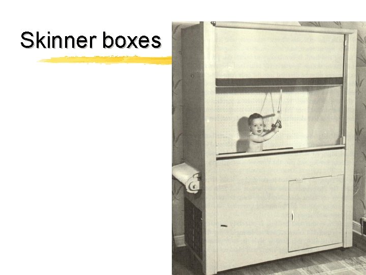 Skinner boxes 