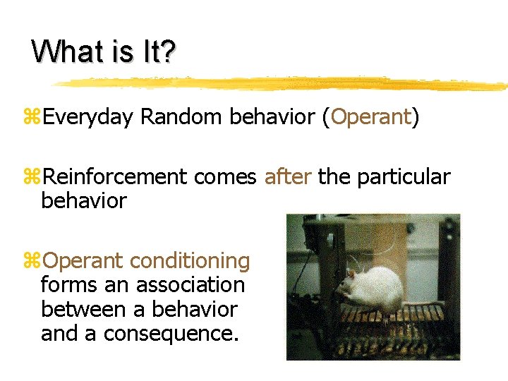 What is It? z. Everyday Random behavior (Operant) z. Reinforcement comes after the particular