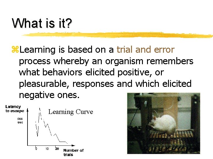 What is it? z. Learning is based on a trial and error process whereby