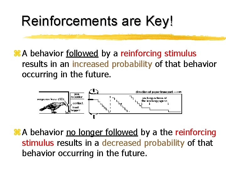 Reinforcements are Key! z A behavior followed by a reinforcing stimulus results in an