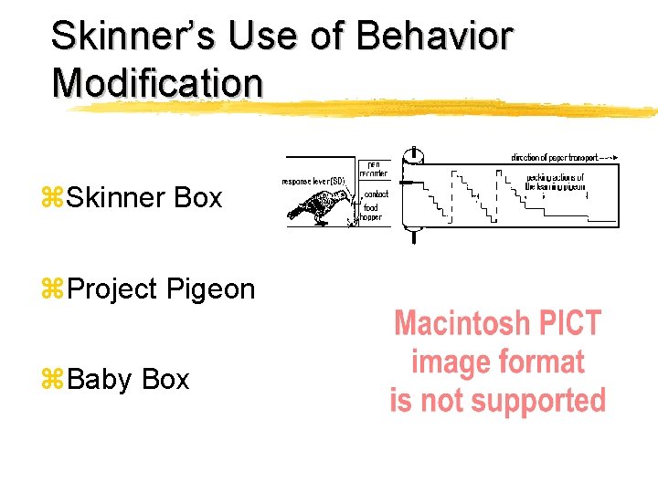 Skinner’s Use of Behavior Modification z. Skinner Box z. Project Pigeon z. Baby Box