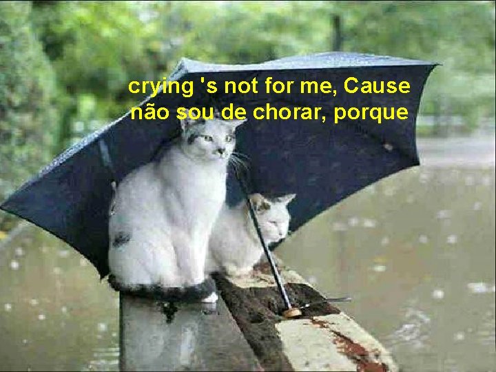 crying 's not for me, Cause não sou de chorar, porque 