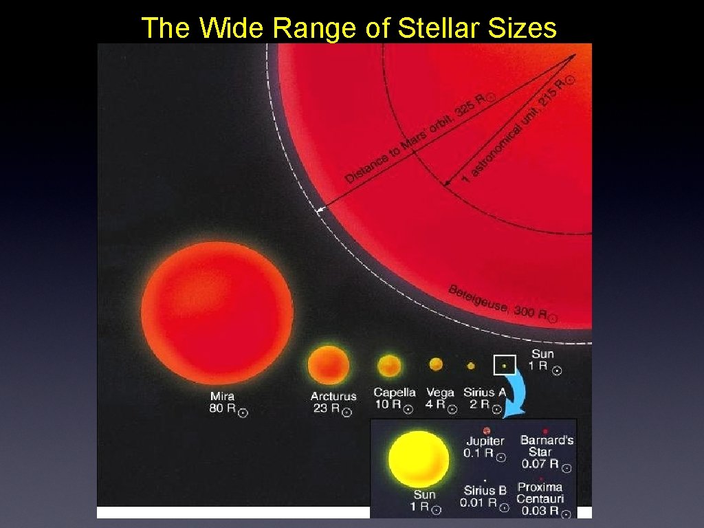 The Wide Range of Stellar Sizes 