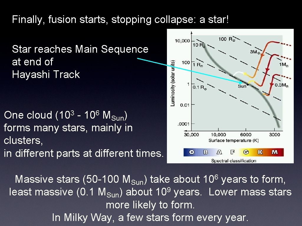 Finally, fusion starts, stopping collapse: a star! Star reaches Main Sequence at end of