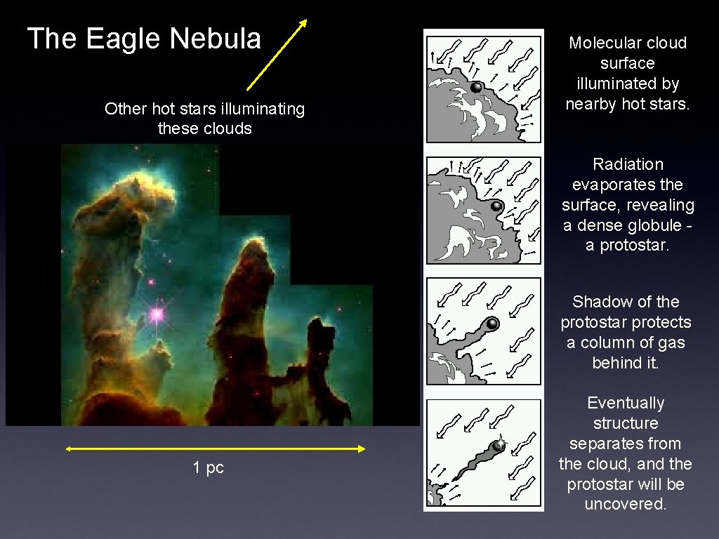 The Eagle Nebula Other hot stars illuminating these clouds Molecular cloud surface illuminated by