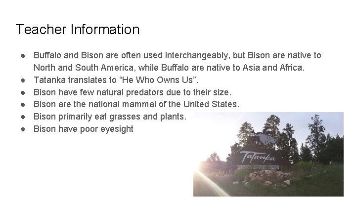 Teacher Information ● Buffalo and Bison are often used interchangeably, but Bison are native