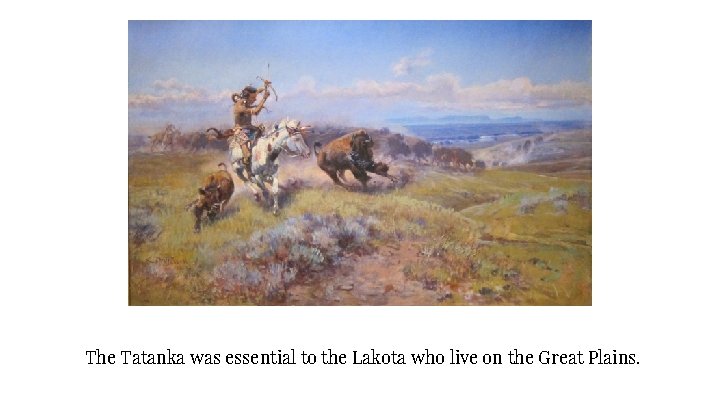 The Tatanka was essential to the Lakota who live on the Great Plains. 