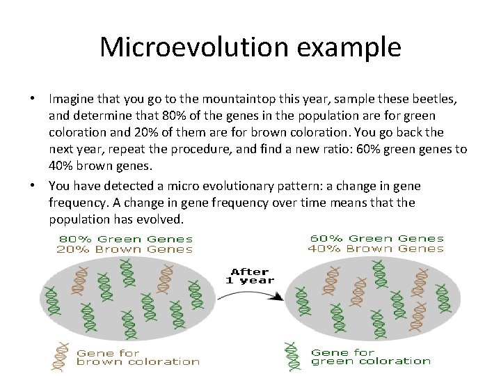 Microevolution example • Imagine that you go to the mountaintop this year, sample these