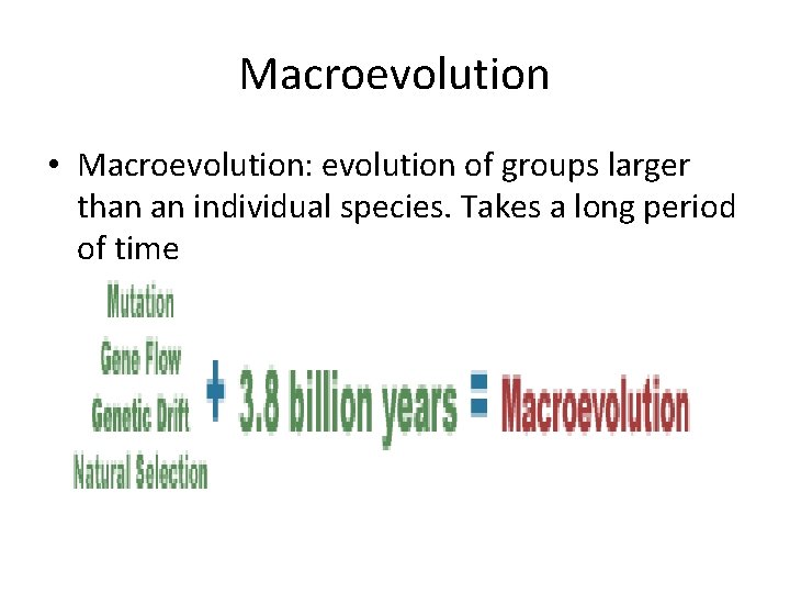 Macroevolution • Macroevolution: evolution of groups larger than an individual species. Takes a long