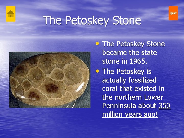 The Petoskey Stone • Quit became the state stone in 1965. The Petoskey is The Petoskey Stone • Quit became the state stone in 1965. The Petoskey is