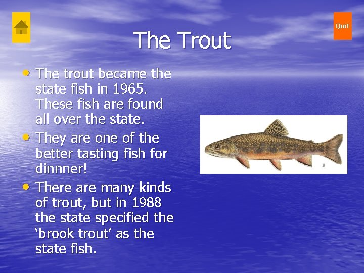 The Trout • The trout became the • • state fish in 1965. These