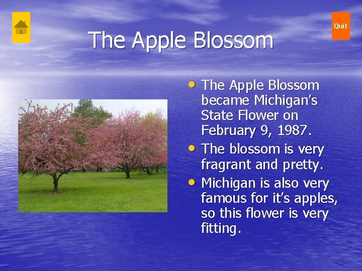 The Apple Blossom • • Quit became Michigan’s State Flower on February 9, 1987.