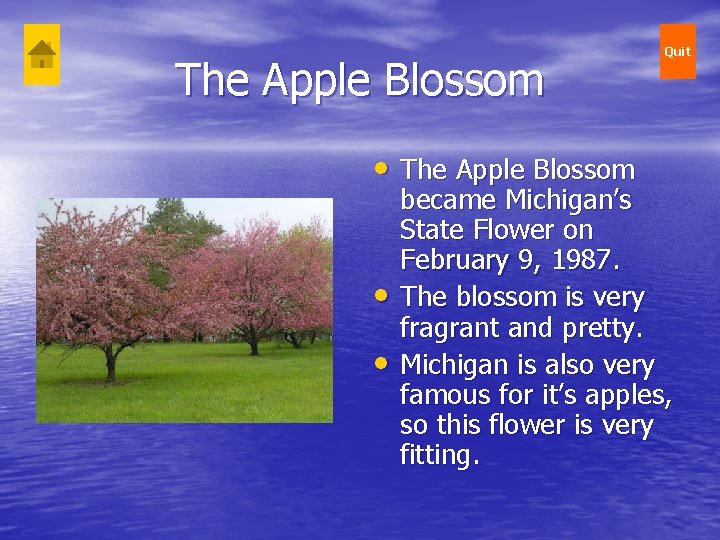 The Apple Blossom • • Quit became Michigan’s State Flower on February 9, 1987. The Apple Blossom • • Quit became Michigan’s State Flower on February 9, 1987.