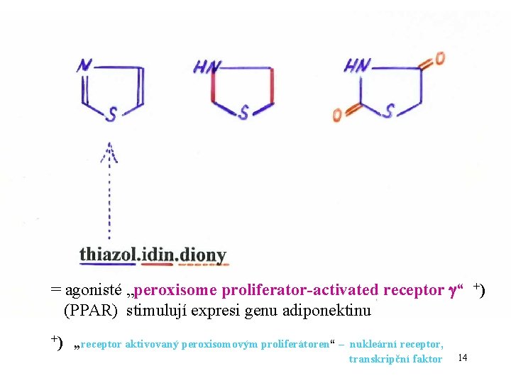 = agonisté „peroxisome proliferator-activated receptor “ +) (PPAR) stimulují expresi genu adiponektinu +) „receptor