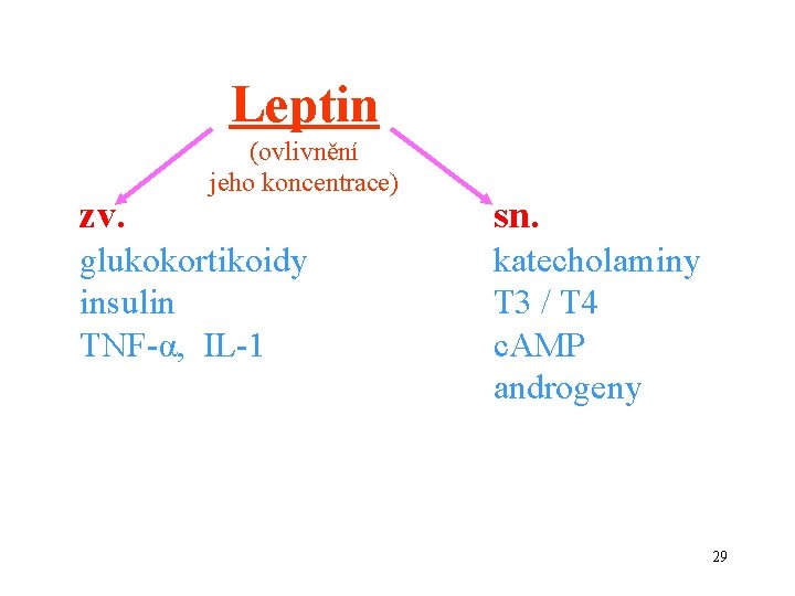 Leptin zv. (ovlivnění jeho koncentrace) glukokortikoidy insulin TNF-α, IL-1 sn. katecholaminy T 3 /