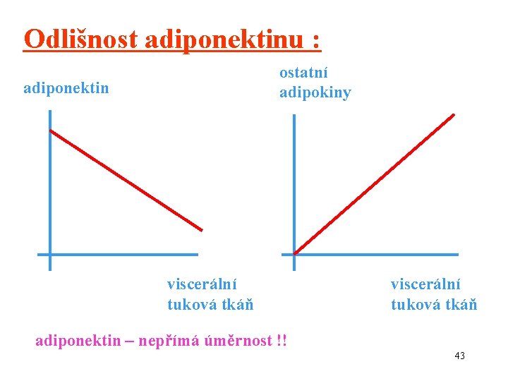 Odlišnost adiponektinu : ostatní adipokiny adiponektin viscerální tuková tkáň adiponektin – nepřímá úměrnost !!