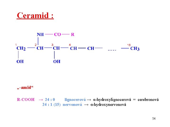 Ceramid : „-amid“ R-COOH → 24 : 0 lignocerová → α-hydroxylignocerová = cerebronová 24