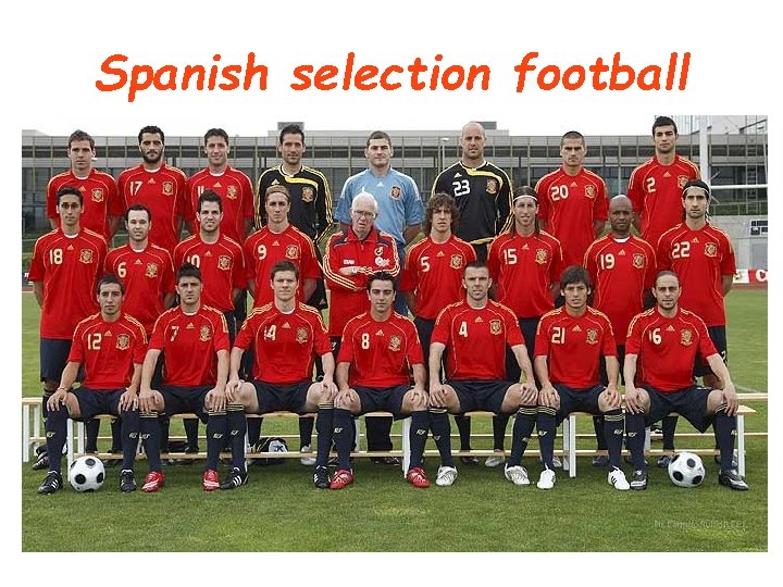 Spanish selection football 