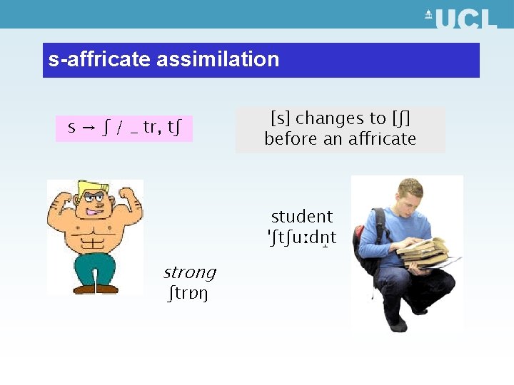 s-affricate assimilation s → ʃ / _ tr, tʃ [s] changes to [ʃ] before