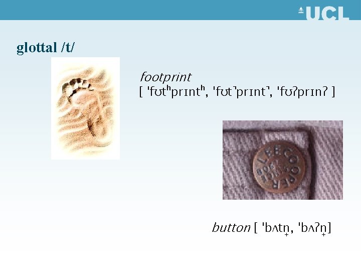 glottal /t/ footprint [ ˈfʊtʰprɪntʰ, ˈfʊt prɪnt , ˈfʊʔprɪnʔ ] button [ ˈbʌtn ,
