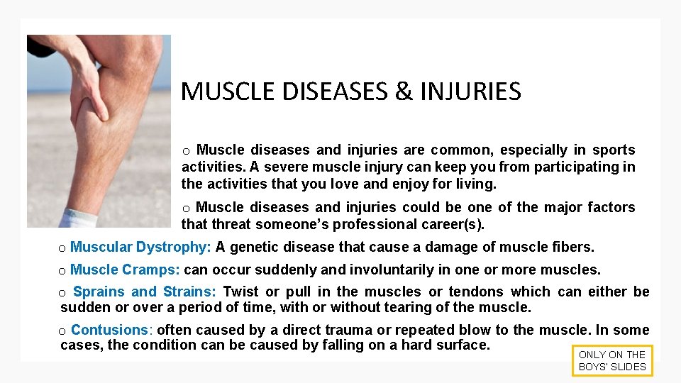 MUSCLE DISEASES & INJURIES o Muscle diseases and injuries are common, especially in sports