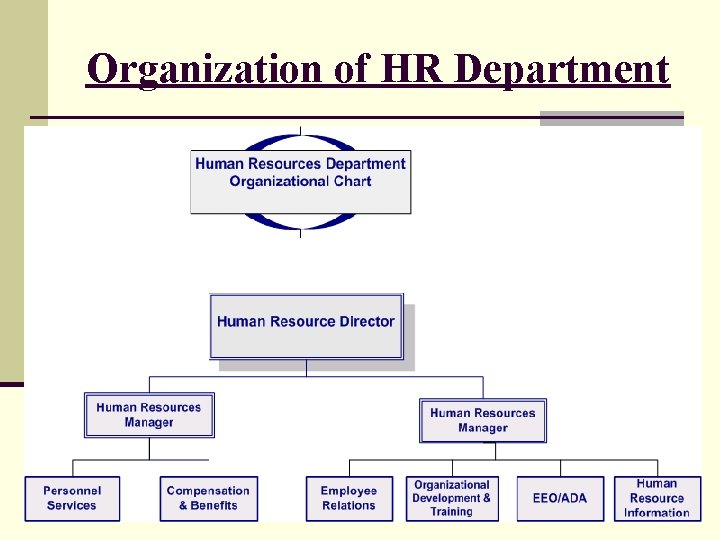 Organization of HR Department 