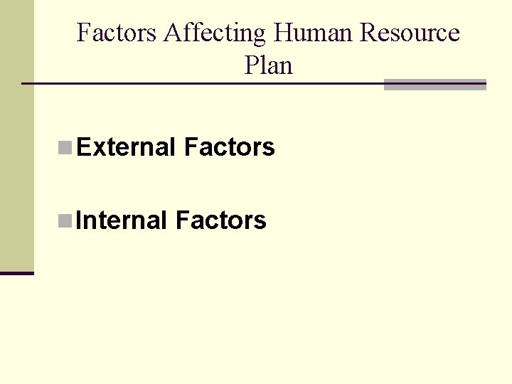 Factors Affecting Human Resource Plan n External Factors n Internal Factors 