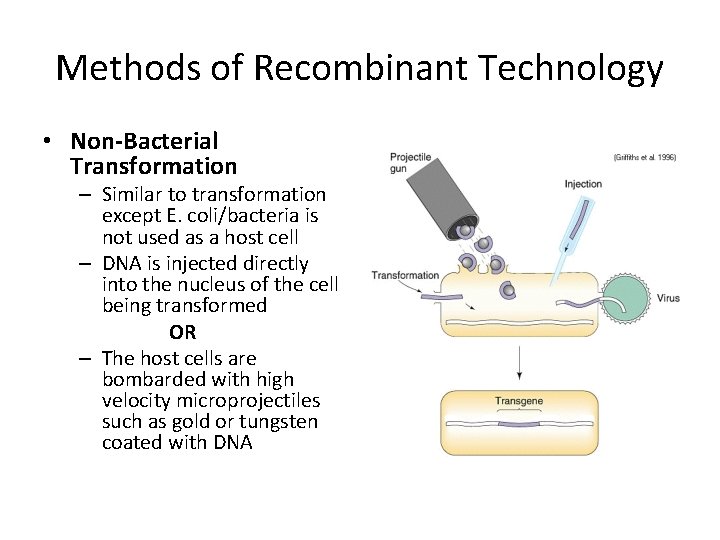 Methods of Recombinant Technology • Non-Bacterial Transformation – Similar to transformation except E. coli/bacteria