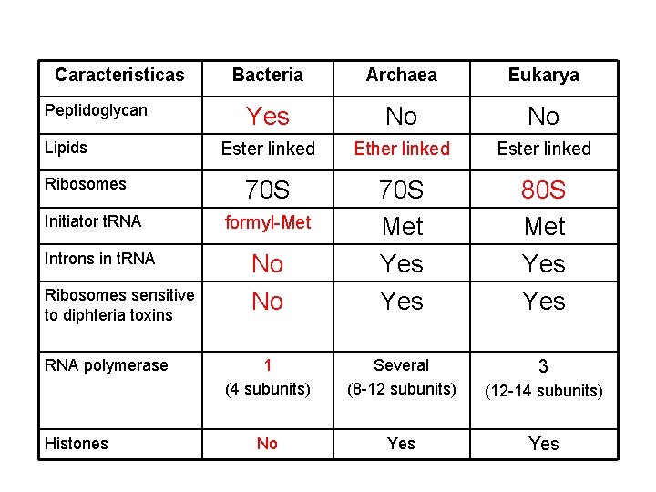 Caracteristicas Peptidoglycan Lipids Ribosomes Initiator t. RNA Introns in t. RNA Ribosomes sensitive to