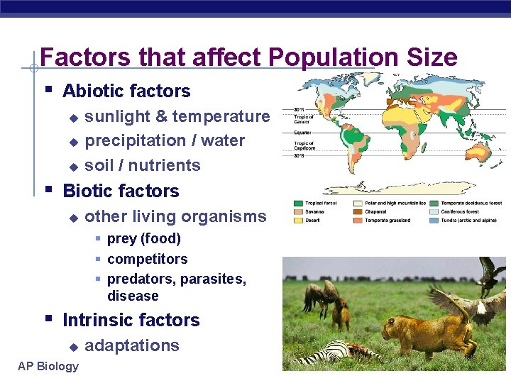 Factors that affect Population Size § Abiotic factors u u u sunlight & temperature Factors that affect Population Size § Abiotic factors u u u sunlight & temperature