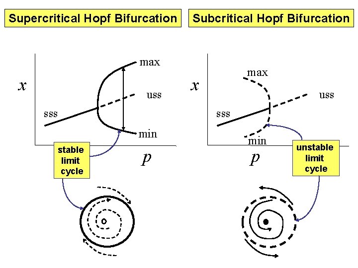 Supercritical Hopf Bifurcation Subcritical Hopf Bifurcation max x uss sss min stable limit cycle