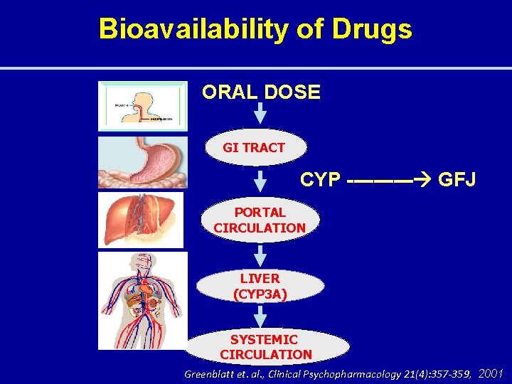 Bioavailability of Drugs ORAL DOSE GI TRACT CYP ----- GFJ PORTAL CIRCULATION LIVER (CYP