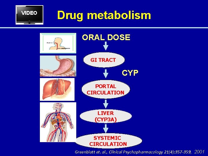 VIDEO Drug metabolism ORAL DOSE GI TRACT CYP PORTAL CIRCULATION LIVER (CYP 3 A)