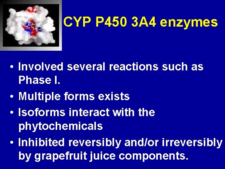 CYP P 450 3 A 4 enzymes • Involved several reactions such as Phase