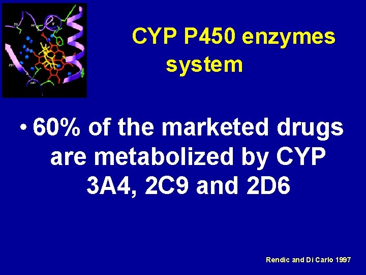 CYP P 450 enzymes system • 60% of the marketed drugs are metabolized by