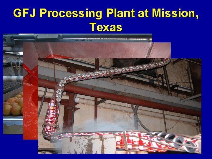 GFJ Processing Plant at Mission, Texas 
