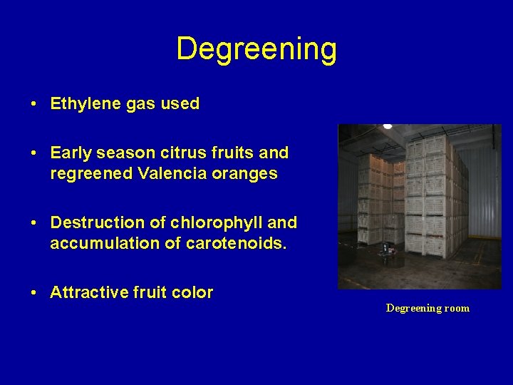 Degreening • Ethylene gas used • Early season citrus fruits and regreened Valencia oranges