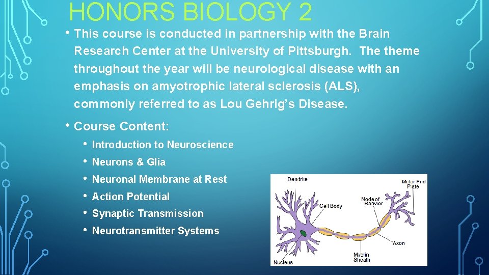 HONORS BIOLOGY 2 • This course is conducted in partnership with the Brain Research