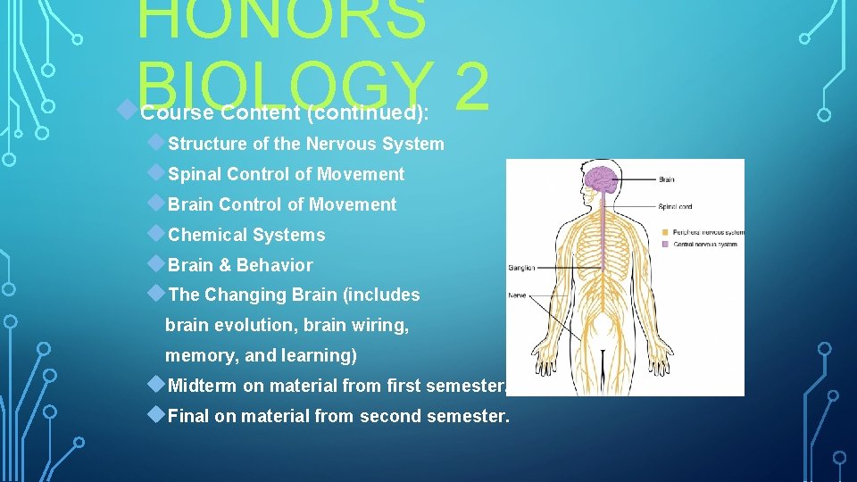 HONORS BIOLOGY 2 Course Content (continued): Structure of the Nervous System Spinal Control of